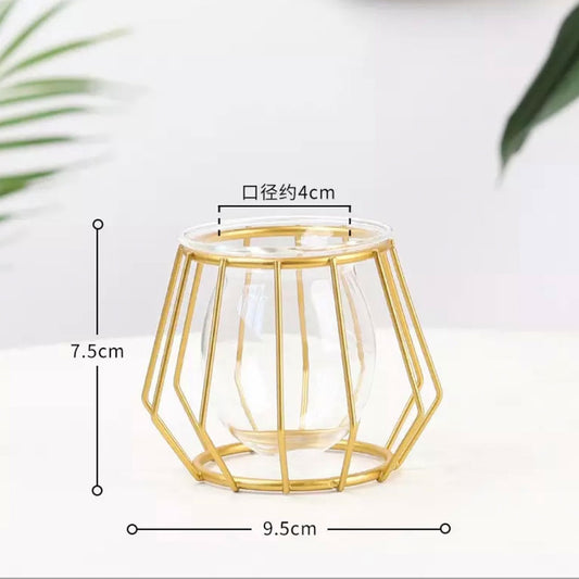 Terrarium Retro Iron Vase