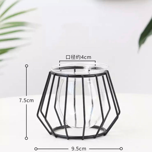 Terrarium Retro Iron Vase